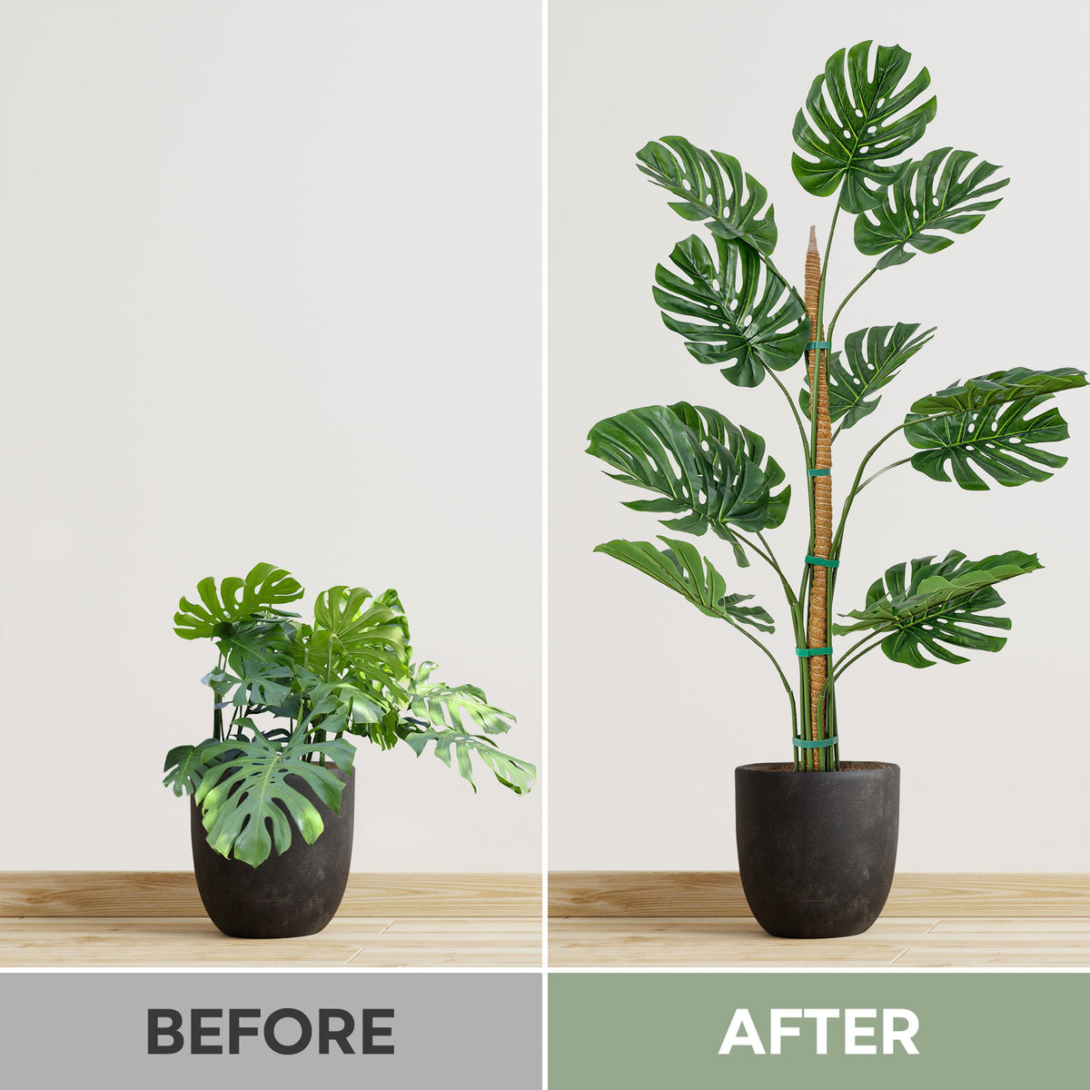 K-Brands 48'' Bendable Moss Pole Monstera Plant Support - Coconut Palm Fiber - Brown - Rectangular - Climbing Plant Support Structure
