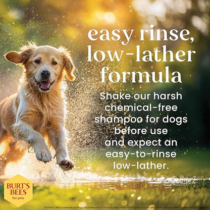 BURT'S BEES FOR PETS Itch Soothing Shampoo with Honeysuckle, 6pk, 95% Natural Origin Formulas, Dog Shampoo for Itchy Dogs, Dog Shampoo Itchy Skin Relief, 6pk, 16 oz