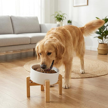 hjn Elevated Ceramic Dog Bowl 15°Slanted Raised Dog Bowl with Bamboo Stand for Small Medium Dogs and Cats, Pet Feeder -7.6-Cup (1800ml)-White