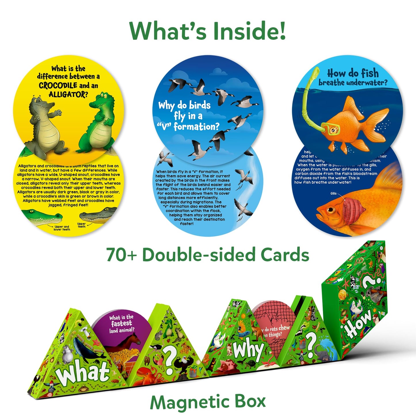 Skillmatics Flash Cards - Science Snippets Animals, STEM Learning Educational Toys & Learning Aids for Kids, Gifts for Boys & Girls Ages 7, 8, 9 & Up, Homeschool, Classroom & Travel Activity