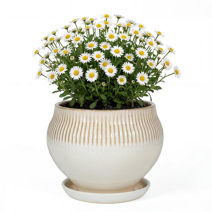 SAFIOROIS 8.3 Inch Modern Ceramic Plant Pot with Drainage Hole and Mesh Net, Indoor Outdoor Planter with Saucer & Gardening Glove, Pots for Succulents, Flowers, Large Plants, White