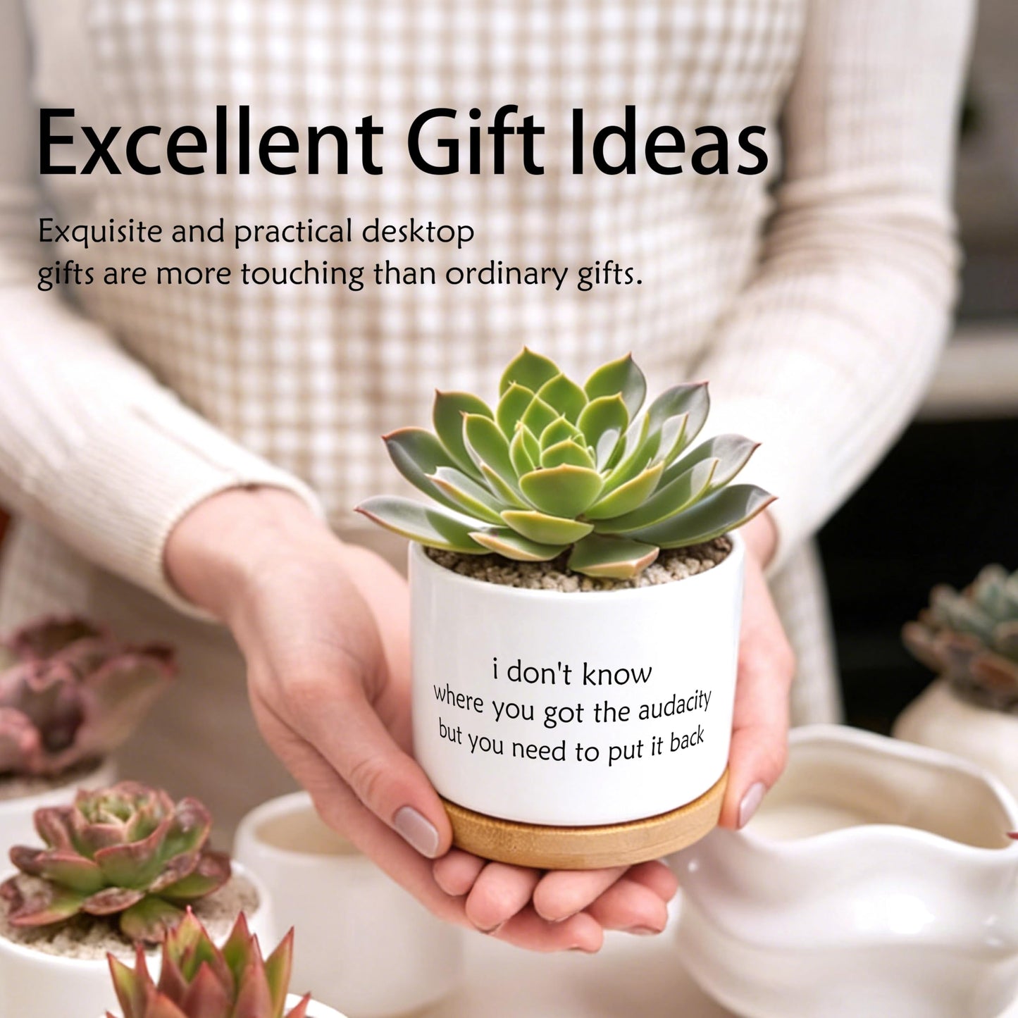 EVIHCG Funny Humorous Saying Planter Pots, Sarcastic I Don't Know Where You Got the Audacity Ceramic Succulent Plant Flower Planters for Home Office Desk Table Shelf(No Plants)