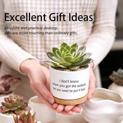 EVIHCG Funny Humorous Saying Planter Pots, Sarcastic I Don't Know Where You Got the Audacity Ceramic Succulent Plant Flower Planters for Home Office Desk Table Shelf(No Plants)