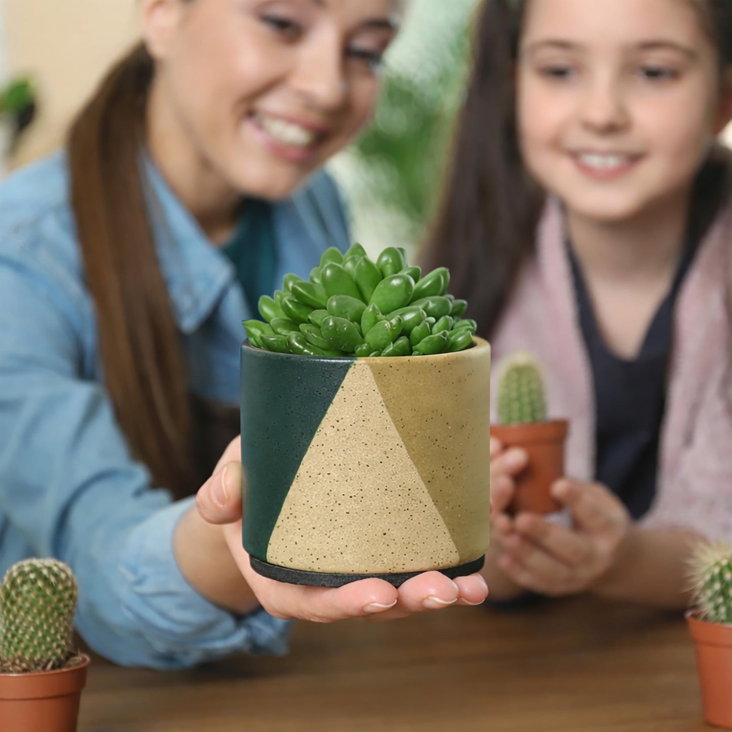 D'vine Dev 3.5" Stoneware Cachepot Planter with 3" Clear Nursery Pot & Detachable Saucer – Indoor Plant Pot with Drainage for Bottom Watering & Root Visibility, Desert Forest, Set of 2, 93-V-A-1