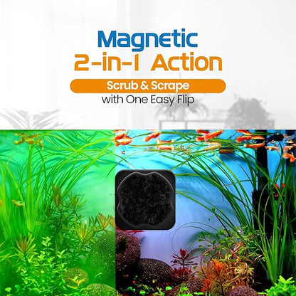 FL!PPER Flipper Pico 2 in 1 Magnetic Algae Scrubber Scraper Aquarium Fish Tank Cleaner - Black