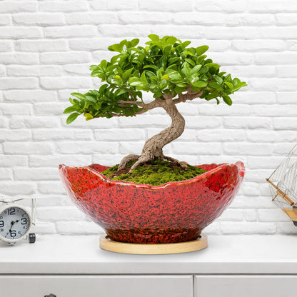 ARTKETTY Bonsai Pots - 9.06'' Ceramic Pots for Indoor Plants, Large Succulent Pots with Drainage Bamboo Tray, Unique Bonsai Tree Planters Round Cactus Flower Plant Container Bowl Home Office Decor