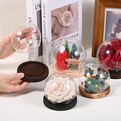 M METERXITY Cloche Glass Dome, D4.7In Ball Jar with Wooden Base for DIY Snow Globes/Small Plants/Flowers/Candles/Models/Souvenirs, Glass Display Case [White]