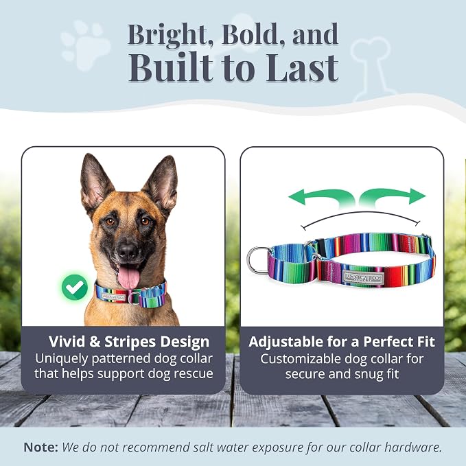 Lucky Love Dog Martingale Dog Collar & Leash - Adjustable, No-Slip, Durable, Comfortable, Soft Webbing, & Stylish Patterned Collar & Leash Set for Male and Female Dogs - Nacho Combo, Large
