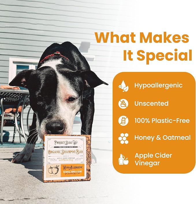 Project Sudz Oatmeal and Honey Dog Shampoo Bar | Hypoallergenic | Sensitive Coat | Made with Apple Cider Vineger | for Dogs and Cats