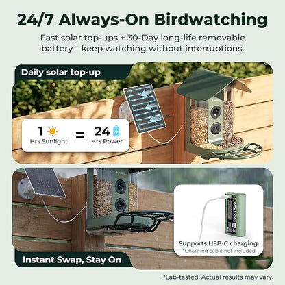 Kiwibit Smart Bird Feeder with Camera, Solar Powered for Outdoors, Bird Species AI Identification, 8MP Photos, 4K Video Livestream, Real-Time Bird Alerts, Birdwatching Gifts for Bird Lovers, Sage Pine