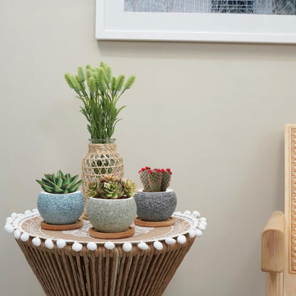 Thriving Thicket 3 inch Ceramic pots for Plants, Small Succulent Pots Set with Drainage, 6 Pack Flower Pot for Indoor Plant, Planters for Little or mini Cactus 2 inches Plants