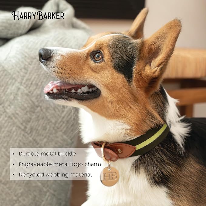 Harry Barker Green Pieced Stripe Buckle Collar - Medium