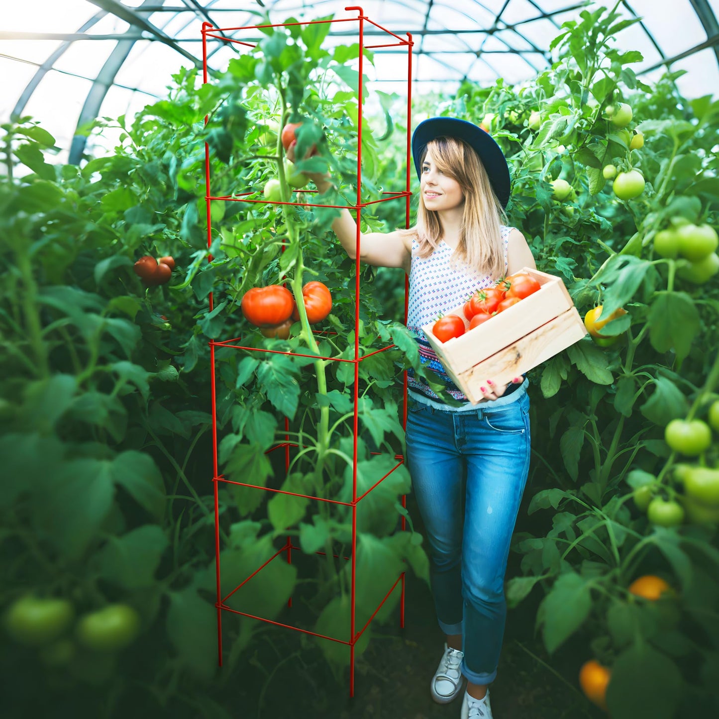 Thealyn Tomato Cages 6 Packs 57 Inches (H) Plant Stand with 164 Feet Twist Ties, Heavy Duty Garden Plants Support for Tomatoes, Cucumber, and Other Climbing Plants (Red)
