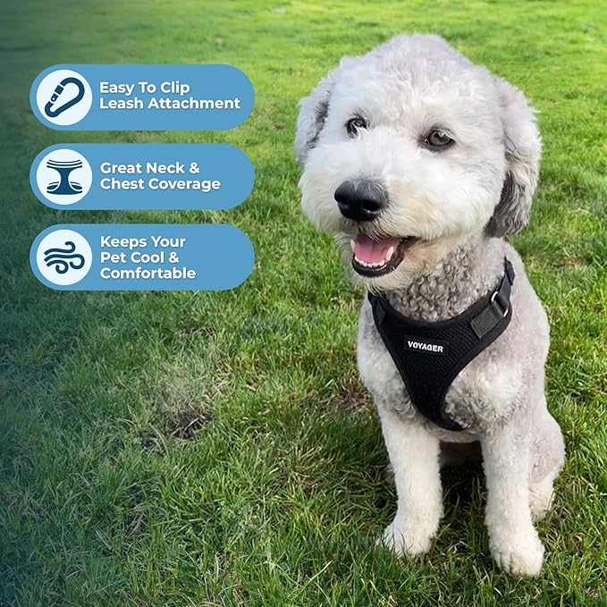 Voyager Step-in Pet Harness - All Weather Mesh, Adjustable Step in Harness for Cats and Dogs by Best Pet Supplies - Black, S