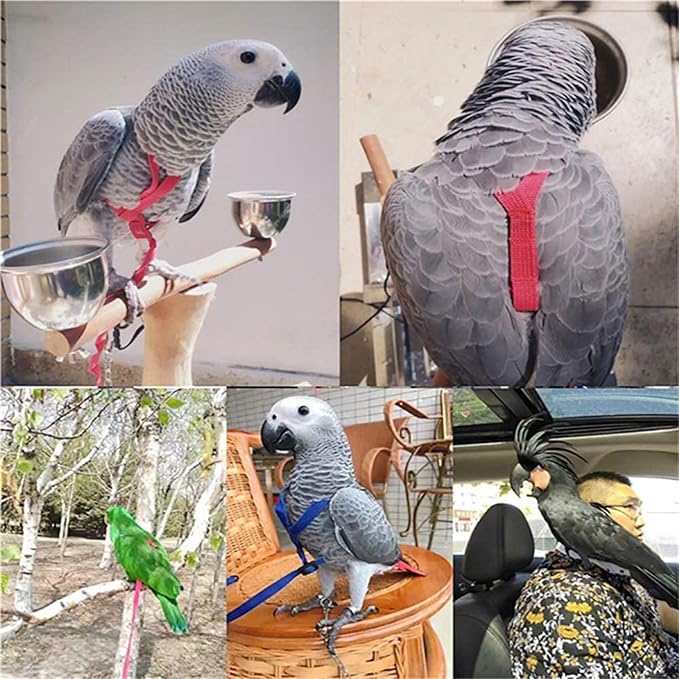 Adjustable Bird Harness and Leash,Anti-Escape Durable Nylon Parrot Harness, Flying Training Rope Parrot Leash for Small Medium Large Breed Parrots Fits Chest Under 18.5'', Blue S