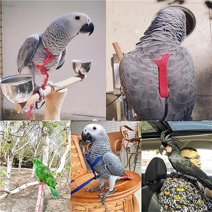 Adjustable Bird Harness and Leash,Anti-Escape Durable Nylon Parrot Harness, Flying Training Rope Parrot Leash for Small Medium Large Breed Parrots Fits Chest Under 18.5'', Purple S