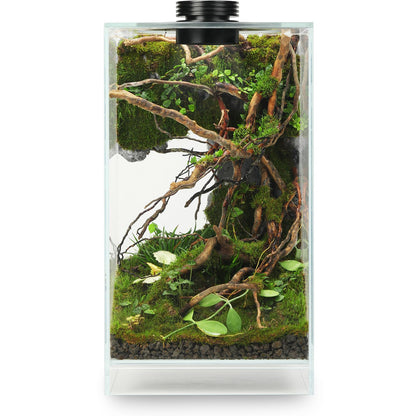 Desktop Glass Plant Terrarium with Grow Light(L7.8 W7.8 H14), for Succulent, Moss, Miniature Gardening Landscape, Betta Fish Tank, Indoor Plant Growth, Office Home Decoration (TimeControlled)