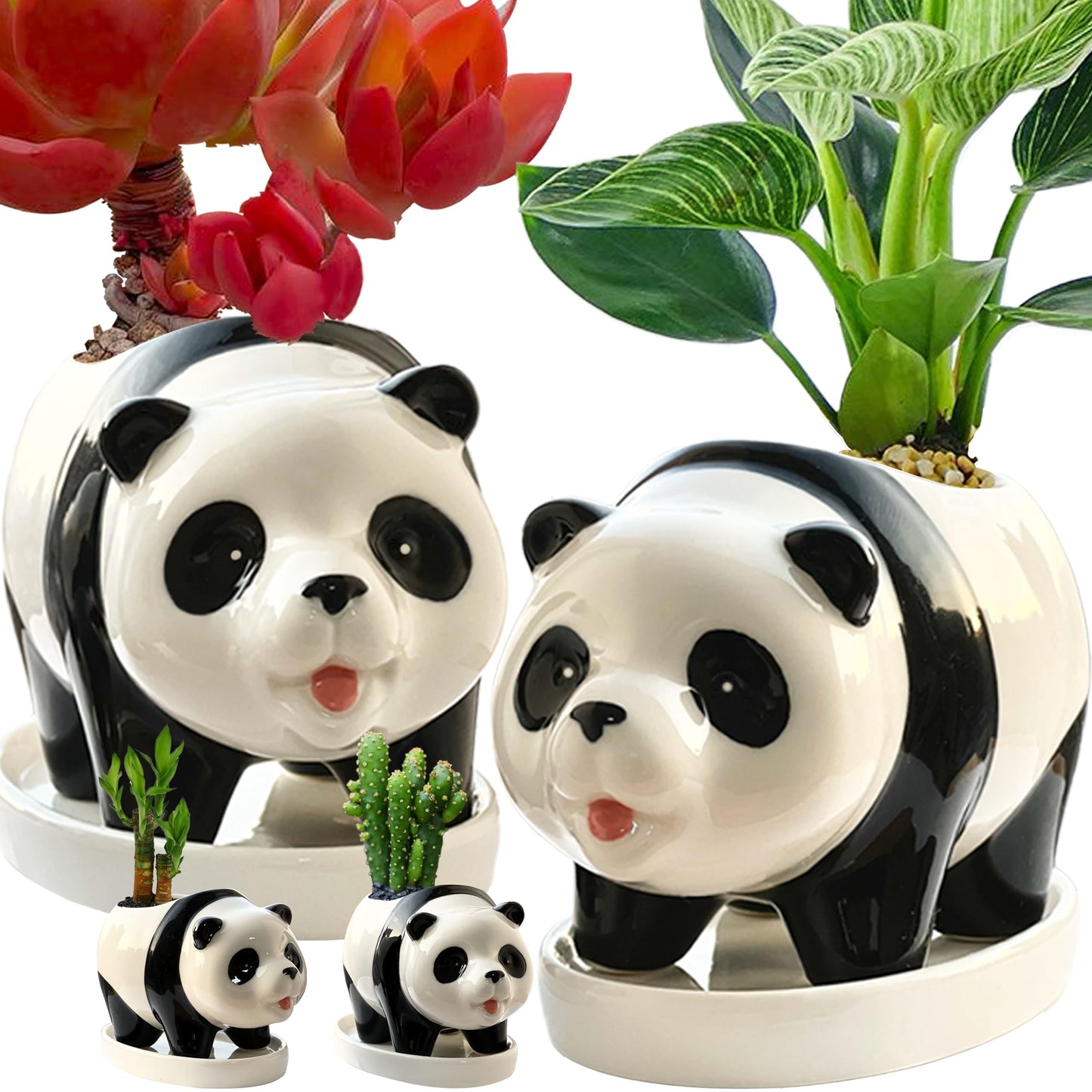 KEEPPACE 2PC Panda Bamboo Planter Pots-5.7‘‘ Ceramic Animal Planters | Succulent Pots & Drainage Tray-Lucky Bamboo Plant Pots Flower Pots Indoor-Air Plants-Cactus Planters-Garden Home Decor