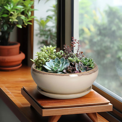 SQOWL Succulent Pots 8 Inch - Ceramic Bonsai Pots for Indoor Plants, Round Shallow Plant Pot with Drainage Hole and Saucer, Bowl Planter Outdoor, Patio Decor, Plant Lover Gifts, Beige