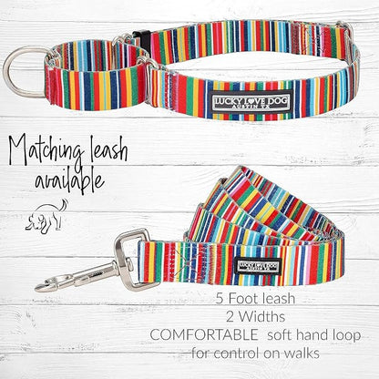 Lucky Love Dog Martingale Dog Collar & Leash - Adjustable, No-Slip, Durable, Comfortable, Soft Webbing, & Stylish Patterned Collar & Leash Set for Male and Female Dogs - Hippie Combo, Small