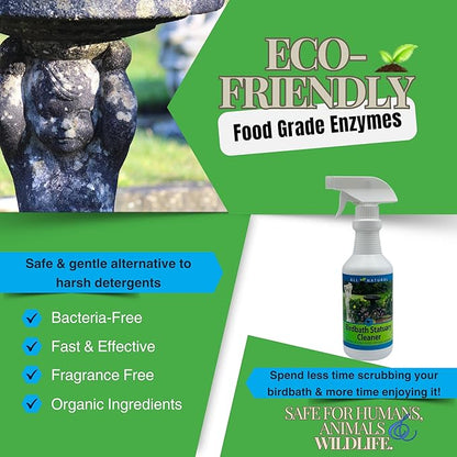 CareFree 98510 Birdbath and Statuary Cleaner, 16-Ounce