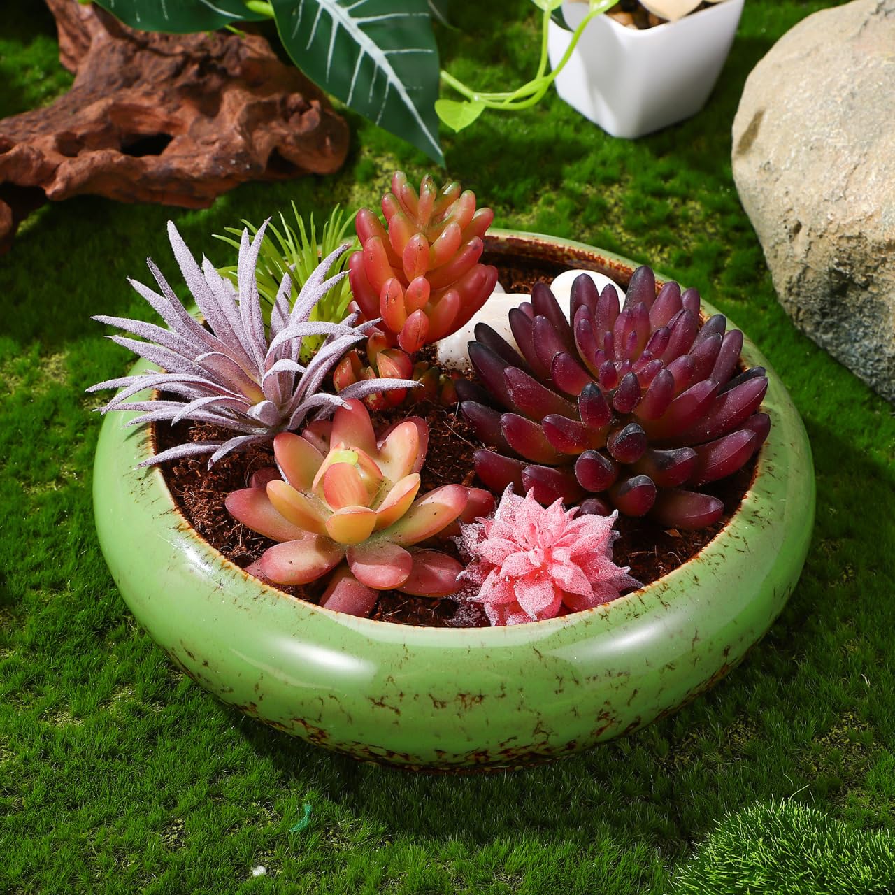 Happyyami Succulent Planter Pot 7.08In Round Shallow Bonsai Bowl with Drainage Hole for Desktop Cactus and Small Plants Decorative Container
