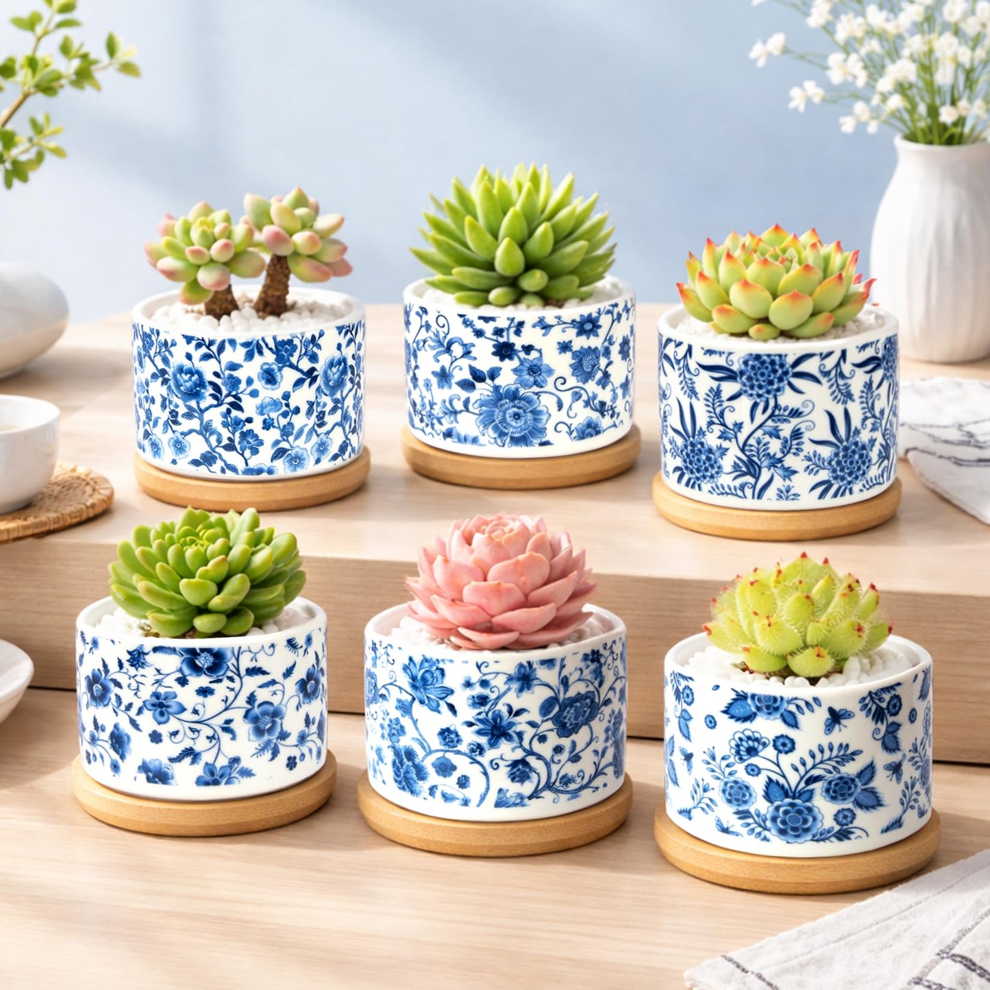 Succulent Pots, 6PCS Small Pots for Plants with Drainage & Saucers, 3.1 Inch Ceramic Flower Planters for Indoor Plants, Decorative Planters for Succulent Cactus, Home, Office, Desk