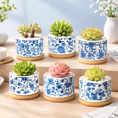 Succulent Pots, 6PCS Small Pots for Plants with Drainage & Saucers, 3.1 Inch Ceramic Flower Planters for Indoor Plants, Decorative Planters for Succulent Cactus, Home, Office, Desk