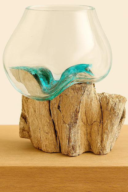 OMA Molten Glass on Driftwood – Hand-Blown Melted Glass Vase, Terrarium, or Planter for Coastal & Boho Home Décor (6"–7" High)