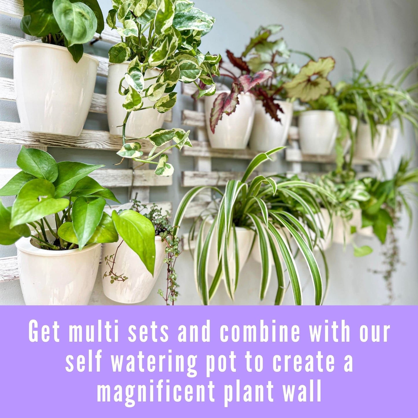 LaLaGreen Bundle- 10 Pack, 5 Inch Self Watering Plastic Pot + 2 Pack, 15.7 Inch Rustic Wooden Plant Holder Wall Mount Vertical Live Eco Garden System Trendy Herb Orchid Airplant Hanging Frame Display