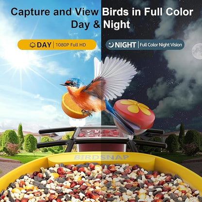 birdsnap® PAV-Bird Feeder with Camera,2K HD with 64GB Card, AI Identify Smart Bird House Cam Solar Panel,Live Stream,Motion Detection,Auto Record Video for Backyard Outdoors,Ideal Gift for Bird Lover