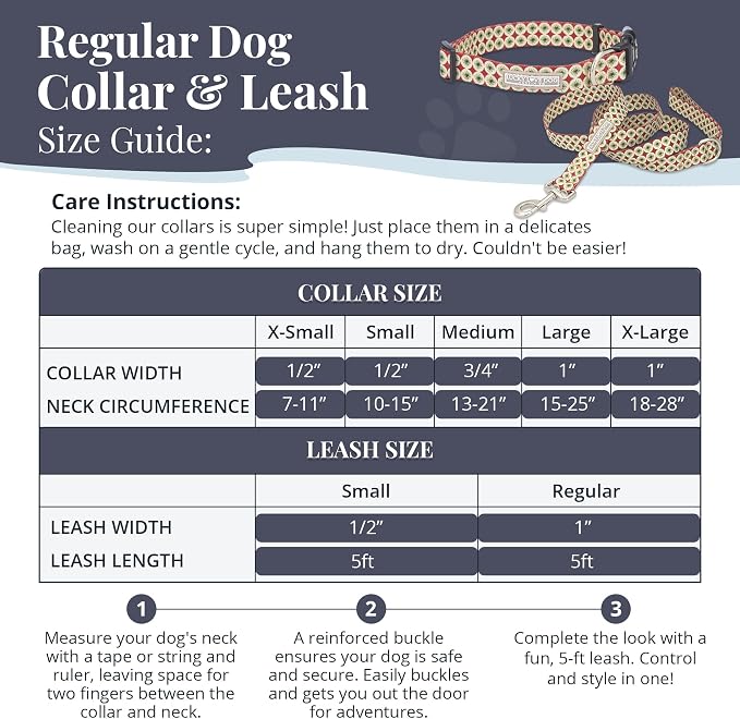 Lucky Love Dog - Easy Click Buckle Dog Collar with Leash Set Combo, Durable & Comfortable for Male & Female Dogs, Pet Collar for Small Dogs, Secure Fit - Pongo Combo, XS