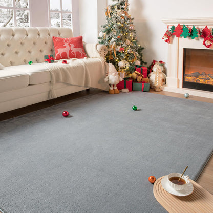 Przemy Washable Area Rug for Living Room Bedroom, 6x9 Feet Grey Memory Foam Rug, Super Soft Modern Indoor Carpet for Kids Room Girls Boys Dorm Nursery Decor Mat