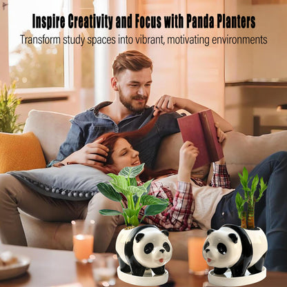 KEEPPACE 2PC Panda Bamboo Planter Pots-5.7‘‘ Ceramic Animal Planters | Succulent Pots & Drainage Tray-Lucky Bamboo Plant Pots Flower Pots Indoor-Air Plants-Cactus Planters-Garden Home Decor
