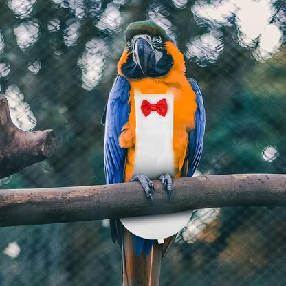 Generic Bird Diaper for Parrots Breathable Costume for Cockatiels Pigeons and Parakeets Washable Reusable Nappy Clothes for Birds