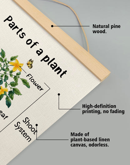 Parts of a Plant Educational Poster,14x18.5 Inch Linen Canvas Wall Botanical Chart Hanging Poster, Science Learning Classroom, Nursery, Homeschool,Kids Room Decoration (Green-Parts of a plant)