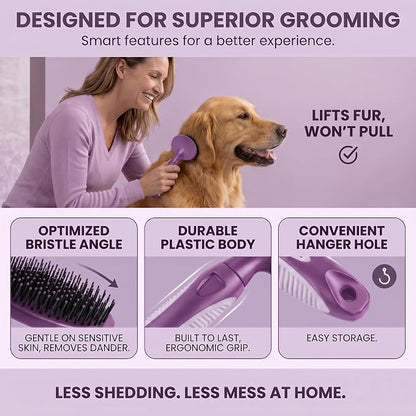 Round Bristle Pet Brush for Dogs and Cats - Soft Dog Brush for Grooming Short or Long Hair - Gentle Tool for Sensitive Skin Removes Dander, Dirt, and Detangles (Purple)