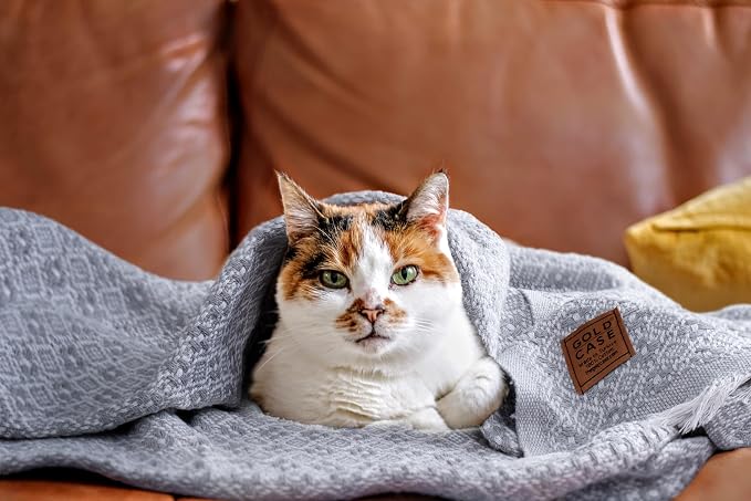 Gold Case Throw Blanket for Couch - 100% Recycled Turkish Cotton Blankets & Throws - Retro Soft Throw Blankets for Living Room - Boho Decorative Woven Couch Blanket - 60x80 - Navy Blue