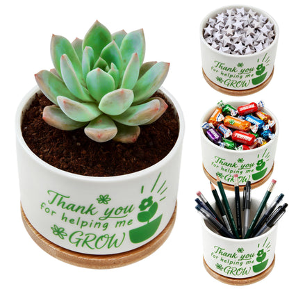 J6&H6 Thank You for Helping Me Grow 1 Pack Teacher Appreciation Gifts Mini Succulent Pots for Plant for Teacher's Day Gifts