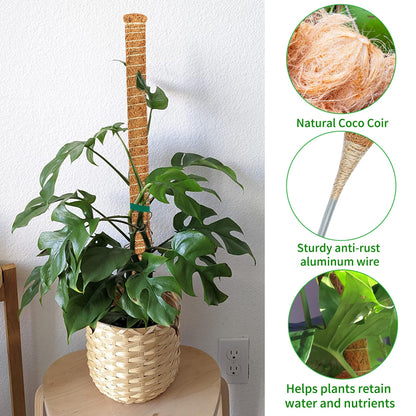 Dimpoo 2 Pack 39 Inch Moss Pole Monstera Plant Support, Coir Moss Poles for Climbing Indoor Plants, Bendable Plant Stake Trellis for Potted Plant, Pothos, Philodendron