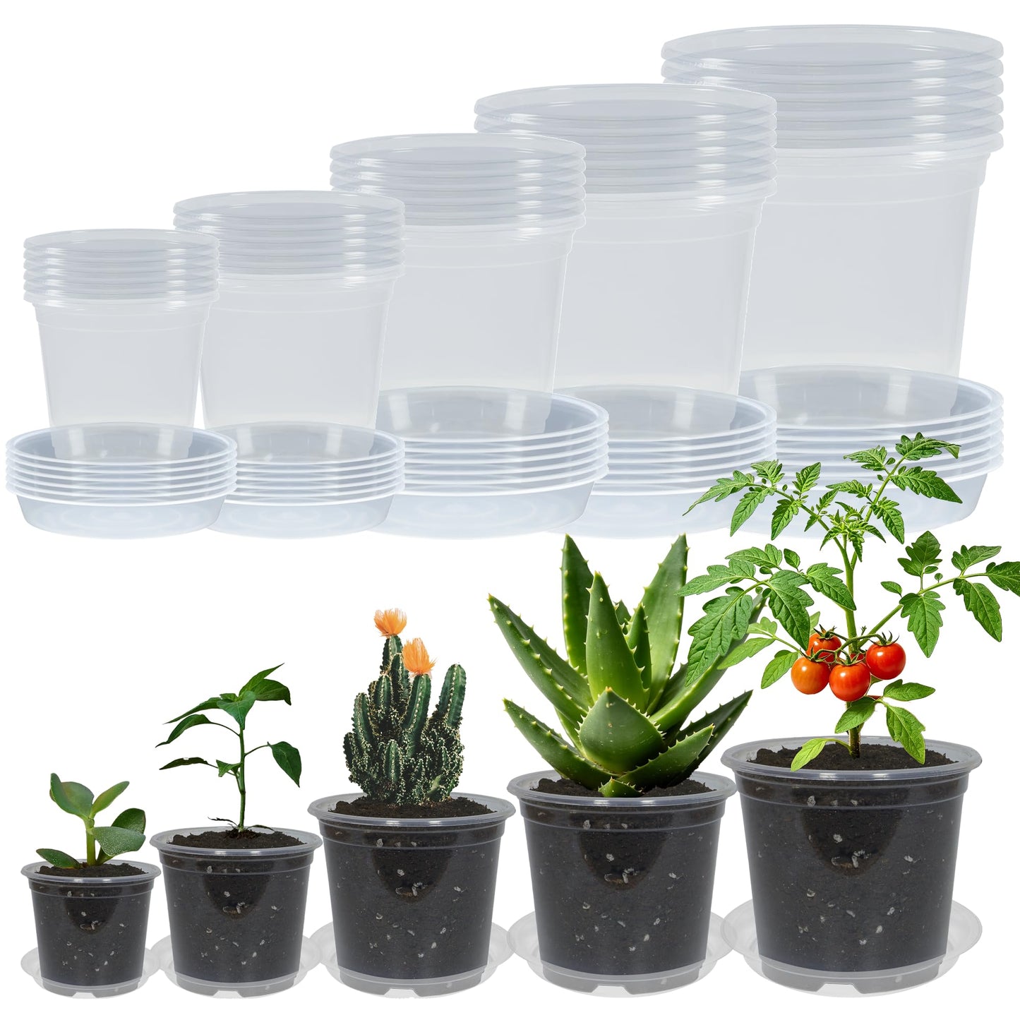 TNTIWQ 30 Pack 3/4/5/6/7 Inch Clear Nursery Pots with Drainage and 30 Pack Plant Saucers, Plant Pots for Plants Transparent Potting Containers for Plants Seeding Starter Pot (Clear, 3/4/5/6/7 Inch)
