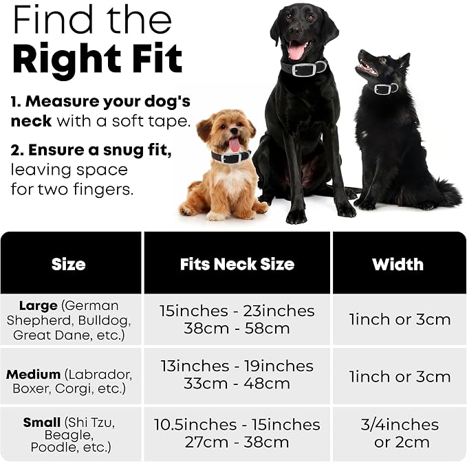 Regal Dog Products Small Black Dog Collar with Heavy Duty Double Buckle & D Ring | Vinyl Coated, Custom Fit, Adjustable Biothane Dog Collar | Chew Resistant Waterproof Collar for Dogs