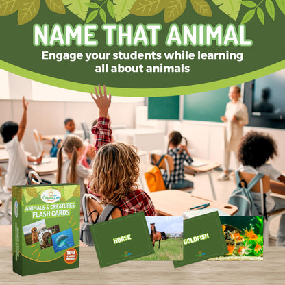 100 Animal, Insect & Ocean Creatures Flash Cards, Realistic Pictures for Fun Learning & Montessori Educational Vocabulary Builder for Preschool Kids, Adults, Schools, Autism, Speech Therapy, ESL, SLP