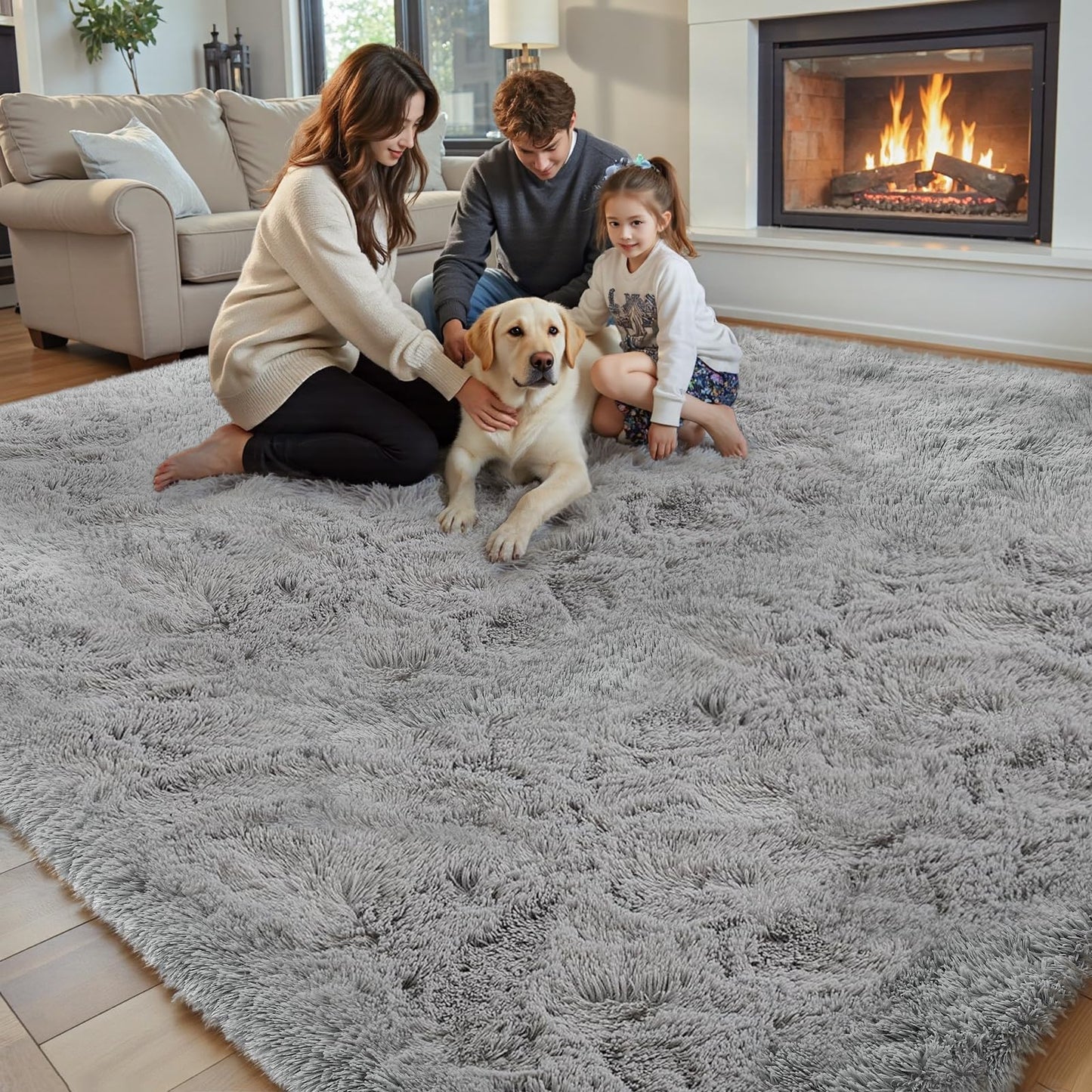 junhejiamei 8x10 Area Rugs for Living Room Bedroom Rug, Large Shaggy Soft Plush Furry Bedside Rug, Area Rugs for Home Decor (Light Grey, 8x10 Feet)