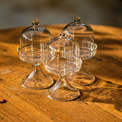 NCYP Mini Glass Bell Dome with Stand and Tiny Cube Planter for Display Jewelry, Ring, Small Plant - (3-Pack) 2.7" x 2.7" x 5" Little Cloche Set, Indoor Decor (Plants Not Included)