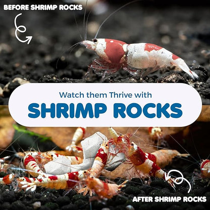SunGrow Shrimp Rocks for Aquarium, 4-oz. Calcium Stones for Shrimp, Freshwater Aquarium Calcium Rocks for Snails, Recreate Shrimp Habitat, Feeder Discs for Crabs & Crayfish, Snail Tank Accessories