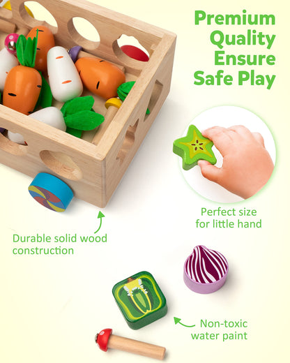 Coogam Montessori Fine Motor Toys for Baby Toddler, Wooden Shape Sorter Carrot Harvest Game for Easter Basket Stuffer, Preschool Learning Educational Gift Toy for 3 4 5 Year Old