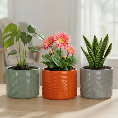 ÈMJÉ LUXE 6 Inch Ceramic Plant Pot – Decorative Indoor Planter (No Drainage Hole) for Succulents, Herbs & Houseplants – Modern Tabletop Desk Planter – Terracotta