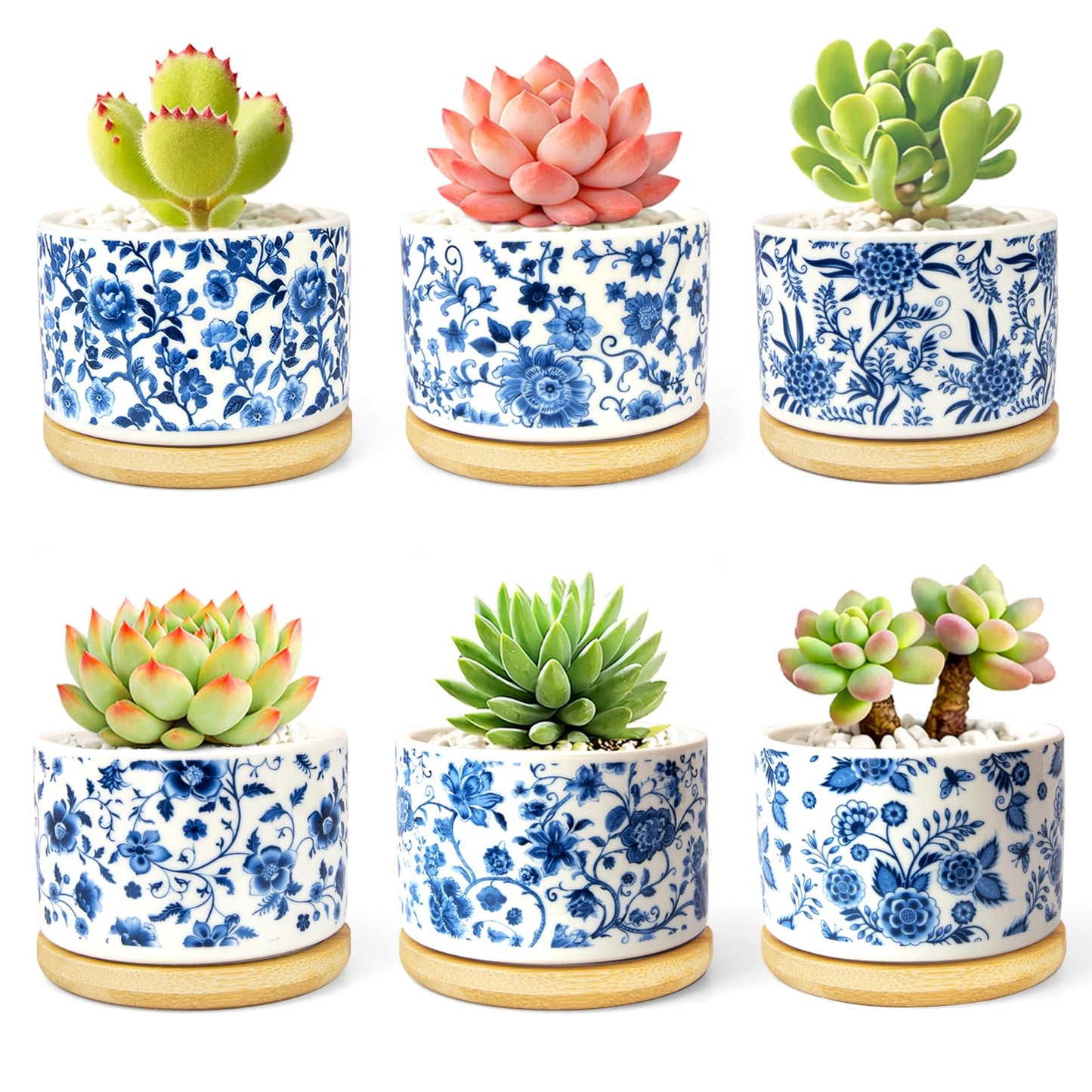 Succulent Pots, 6PCS Small Pots for Plants with Drainage & Saucers, 3.1 Inch Ceramic Flower Planters for Indoor Plants, Decorative Planters for Succulent Cactus, Home, Office, Desk