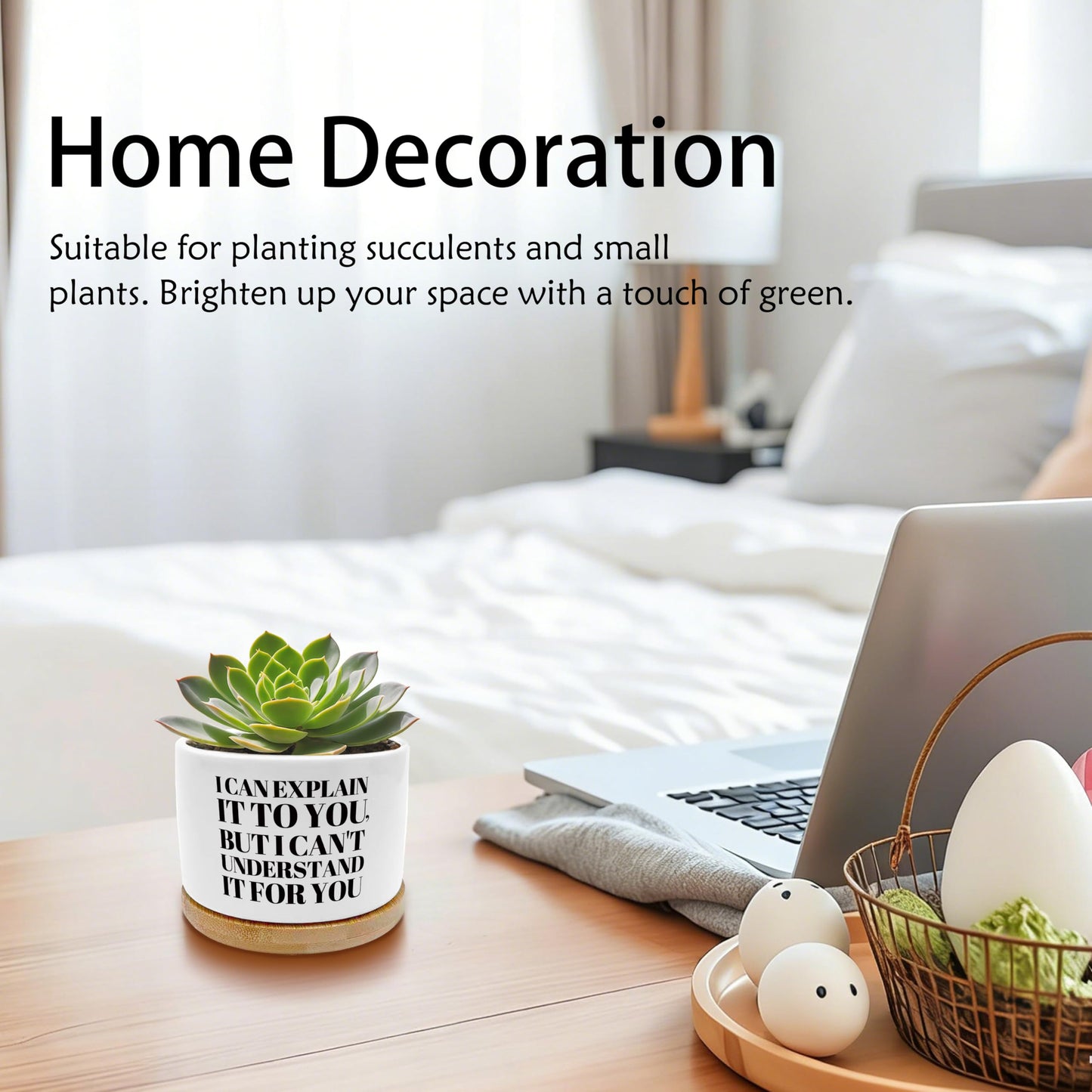 EVIHCG Humorous Quote Planter Pots, Funny Gifts for Women Men Friends Teachers, I Can Explain It to You Ceramic Succulent Plant Flower Planters for Home Office Desk Table Shelf(No Plants)